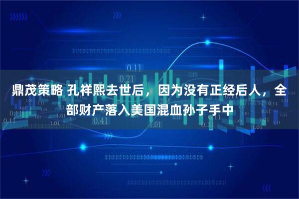 鼎茂策略 孔祥熙去世后，因为没有正经后人，全部财产落入美国混血孙子手中