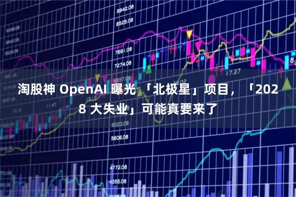 淘股神 OpenAI 曝光 「北极星」项目,「2028 大失业」可能真要来了