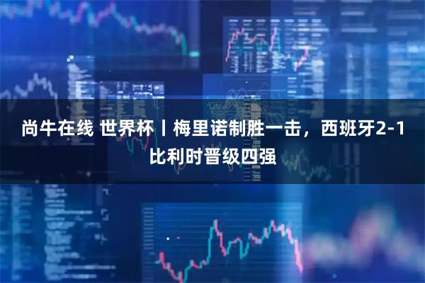 尚牛在线 世界杯丨梅里诺制胜一击，西班牙2-1比利时晋级四强